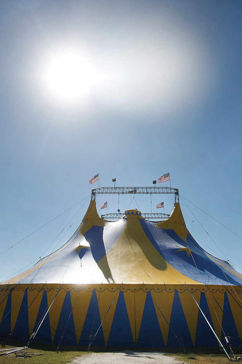 Attendees will have a chance to visit two baby lions, peruse a petting zoo and take camel and pony rides.