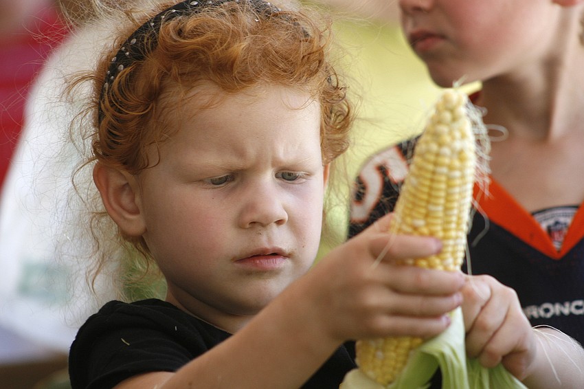 Anna McCormick, 4, worked hard to shuck her ear of corn.