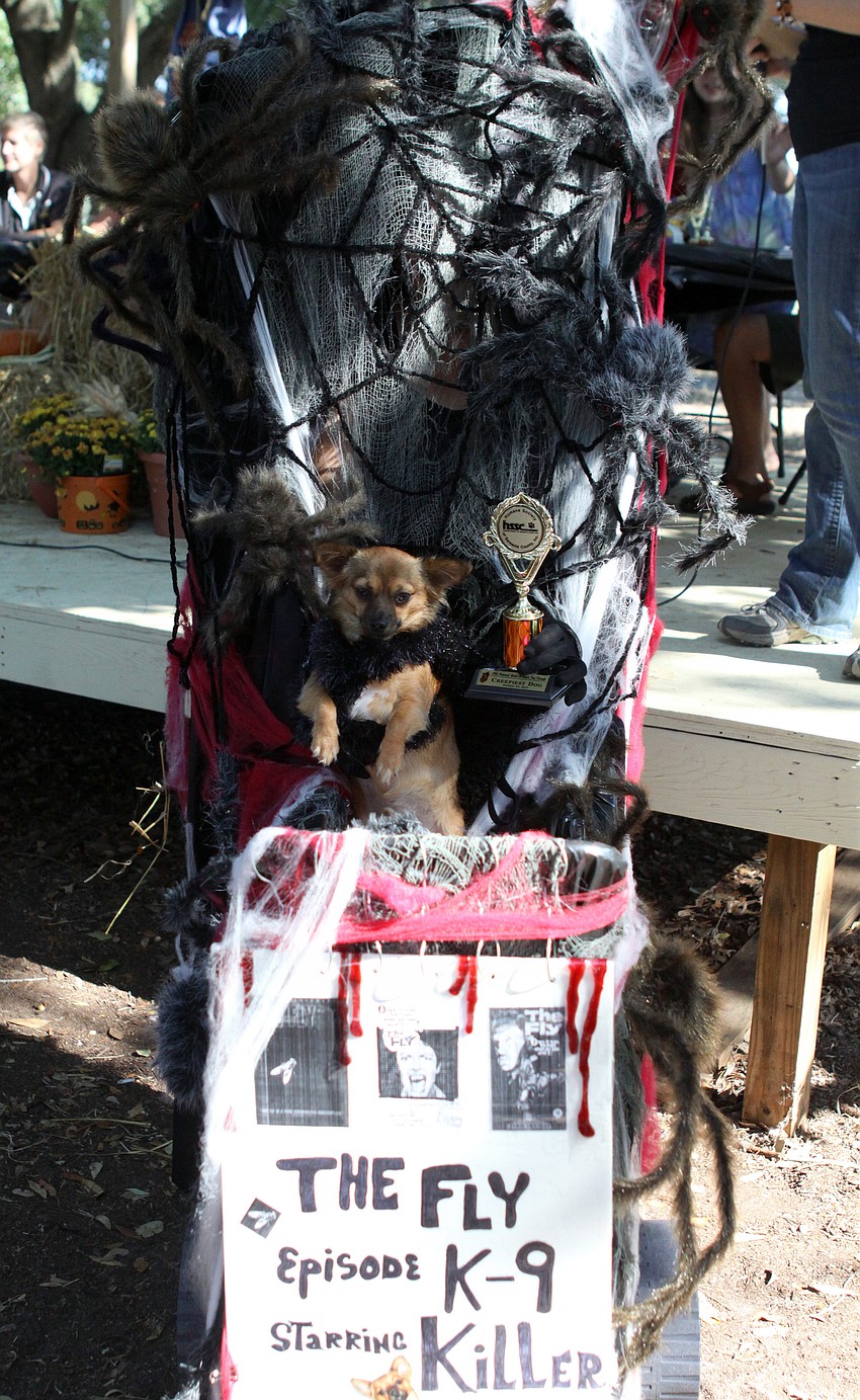 Jackie Cash and her 18-month-old Chihuahua, Killer, won for Creepiest Costume.