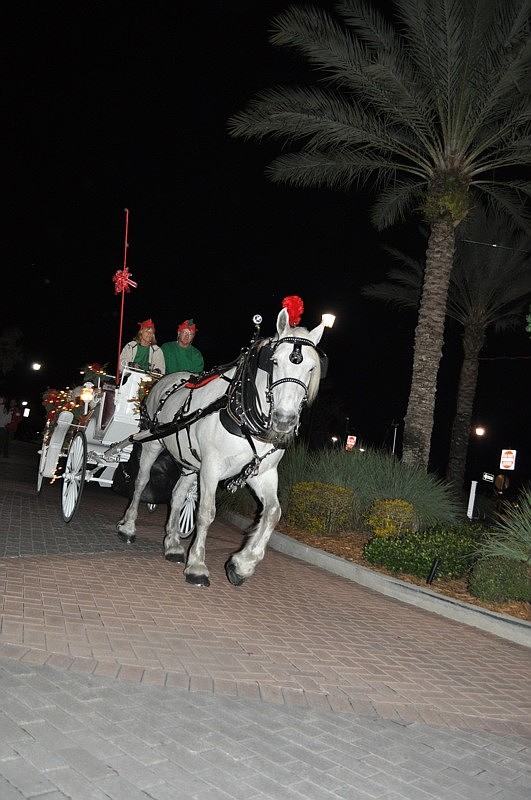 Attendees enjoyed carriage rides as part of the festivities.