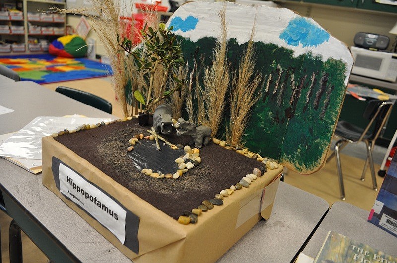 Wesley Hammer, 8, chose to create this exhibit on hippos because 