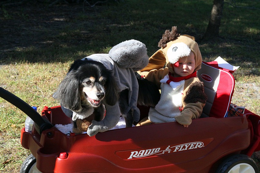 Layla, 13, dresses up as a squirrel while Madeleine, 14 mos., dresses as a dog.