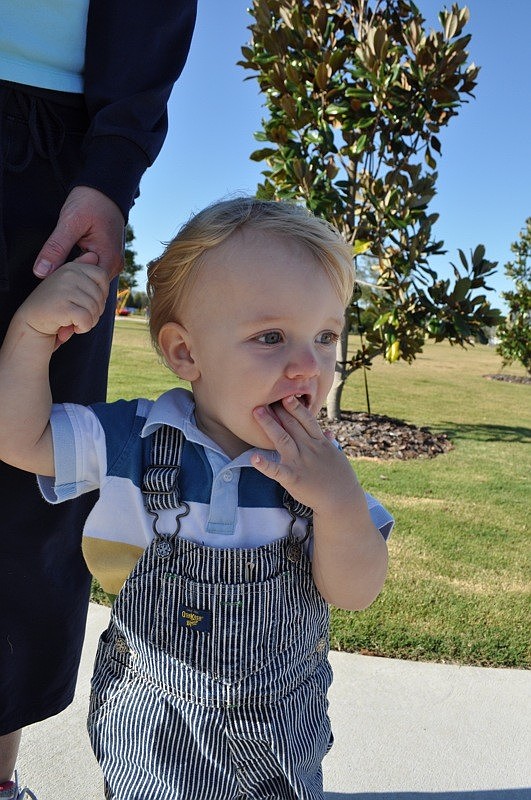 Adrien Monod, 1, made sure to get a good viewing spot as the dogs paraded around the park.