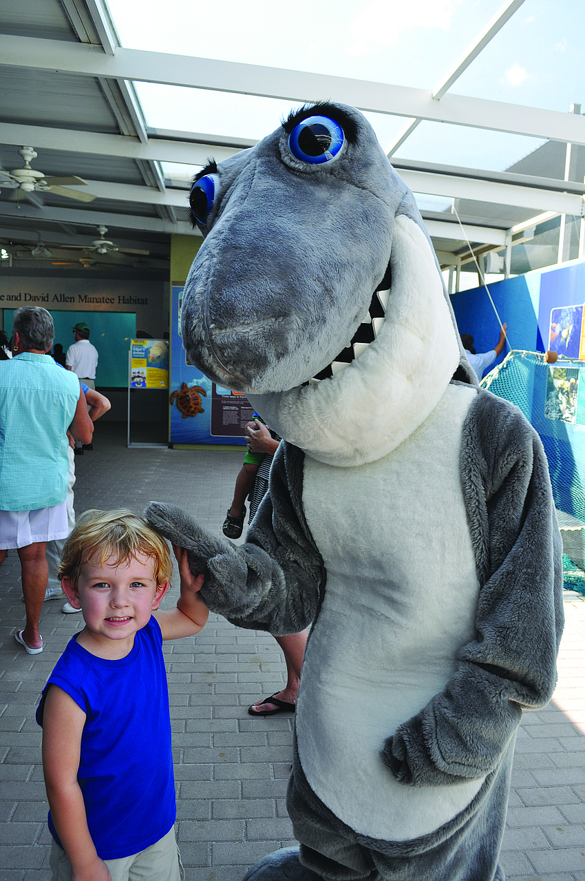 Jack Hayton greets Gilly the Shark at Edgar the sea turtle's 18th birthday celebration in September at Mote Marine Laboratory.