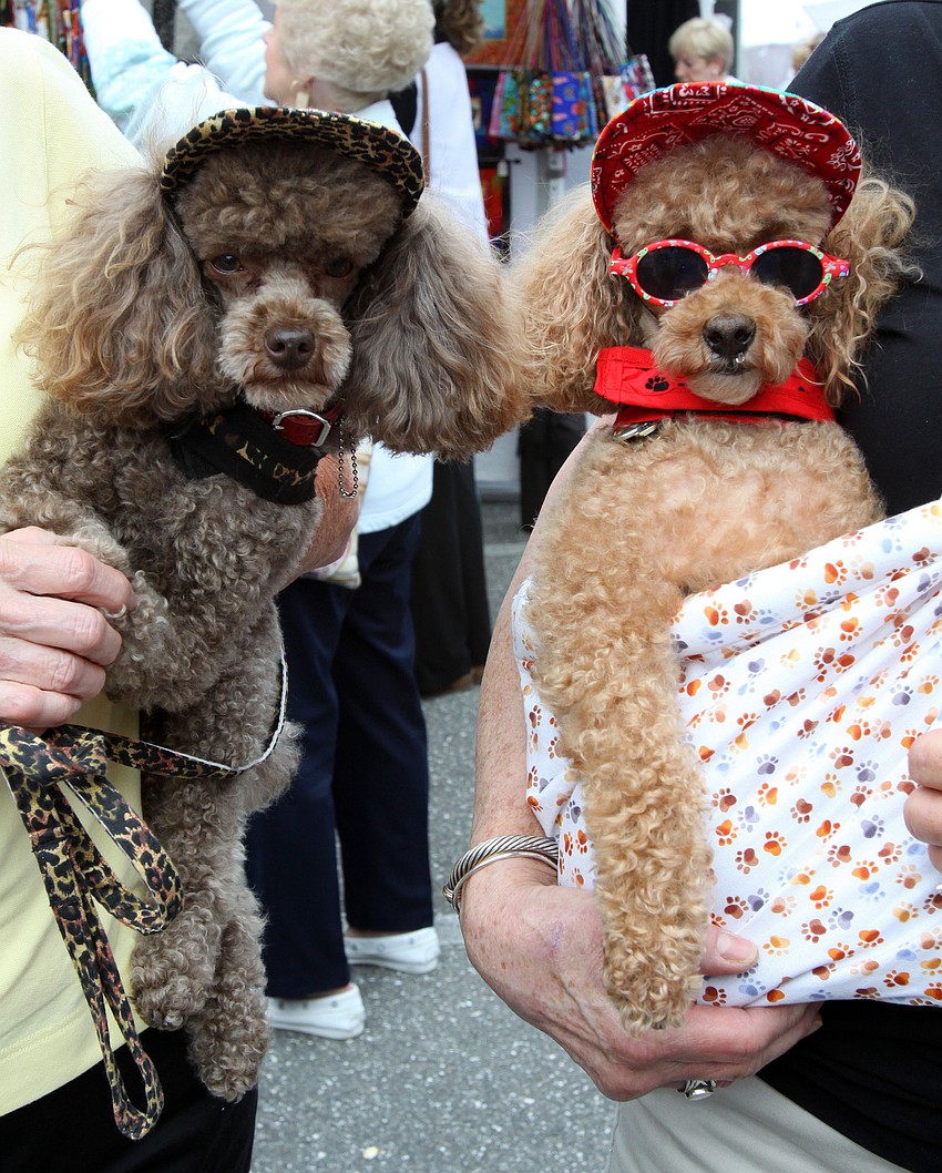Bogie Geghan, 4, and Mickey Fainelli, 5, wear their new duds they bought from a booth at the 17th annual Siesta Key Craft Festival Saturday, Feb. 5, in Siesta Key Village.