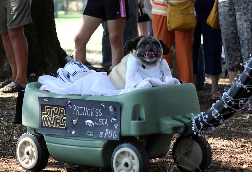 Annabelle, as Princess Leia, won for Best Celebrity Look-A-Like.