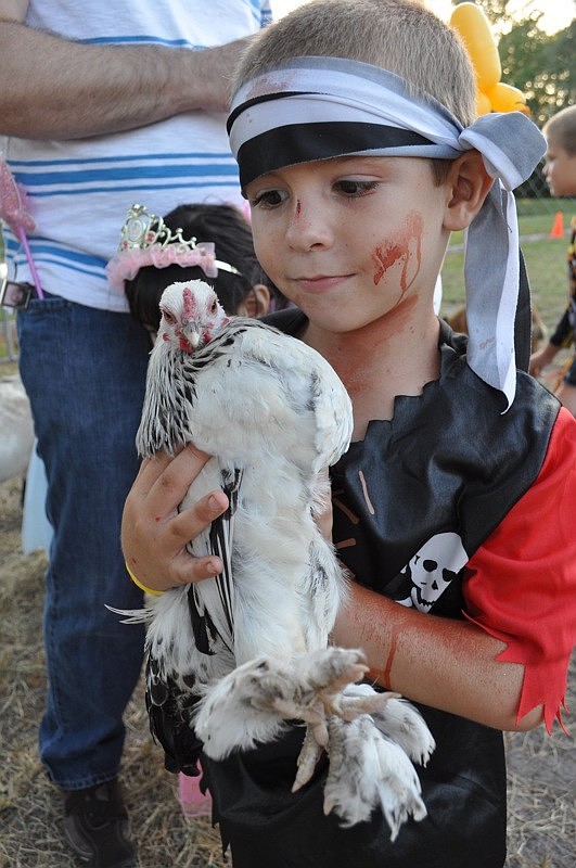 Dalton Giorglando, 6, wanted to take a chicken home with him.