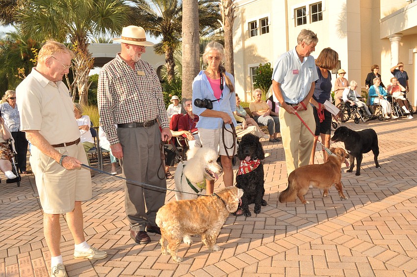 The contestants line up before the judges.