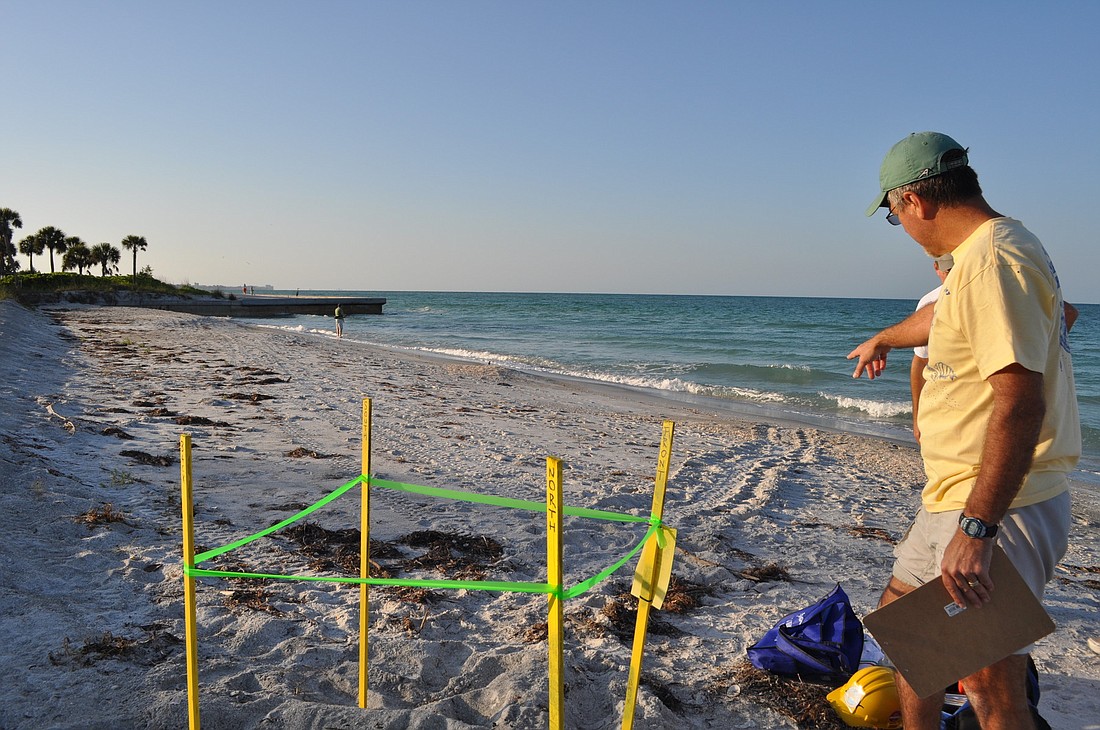 Turtle Watch President Tim Thurman helps mark one of the first nests of the season.