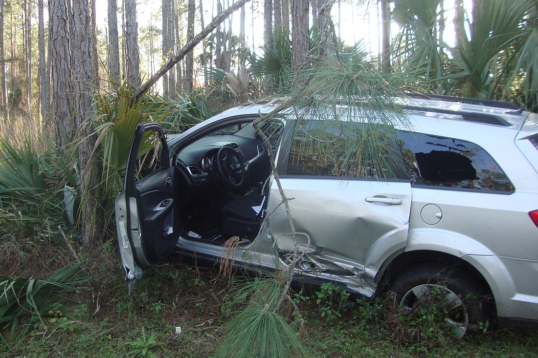 A local resident sent The Palm Coast Observer this photo after a drunk driver knocked down several mailboxes on Richmond Drive, and then struck a tree. (Courtesy photo.)