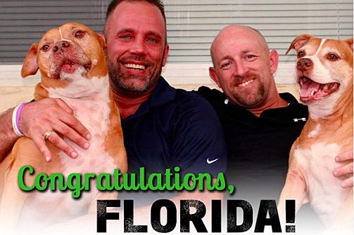 This image of Aaron Huntsman and William Lee Jones, who successfully challenged FloridaÃ¢â‚¬â„¢s gay marriage ban, was posted on the Facebook page of Equality Florida, a gay rights group that has pushed to repeal the ban. Courtesy photo.