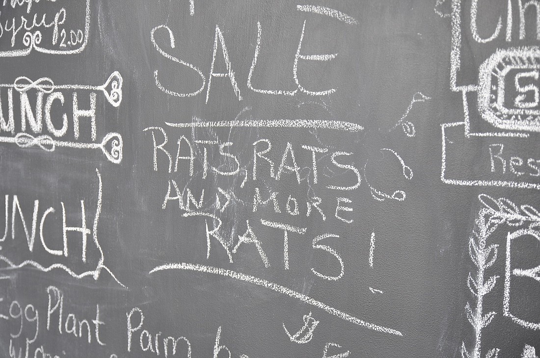 The chalkboard in the front window of GraceÃ¢â‚¬â„¢s Place read Ã¢â‚¬Å“rats, rats and more rats,Ã¢â‚¬Â on the day before the Tutaks had to vacate the property.