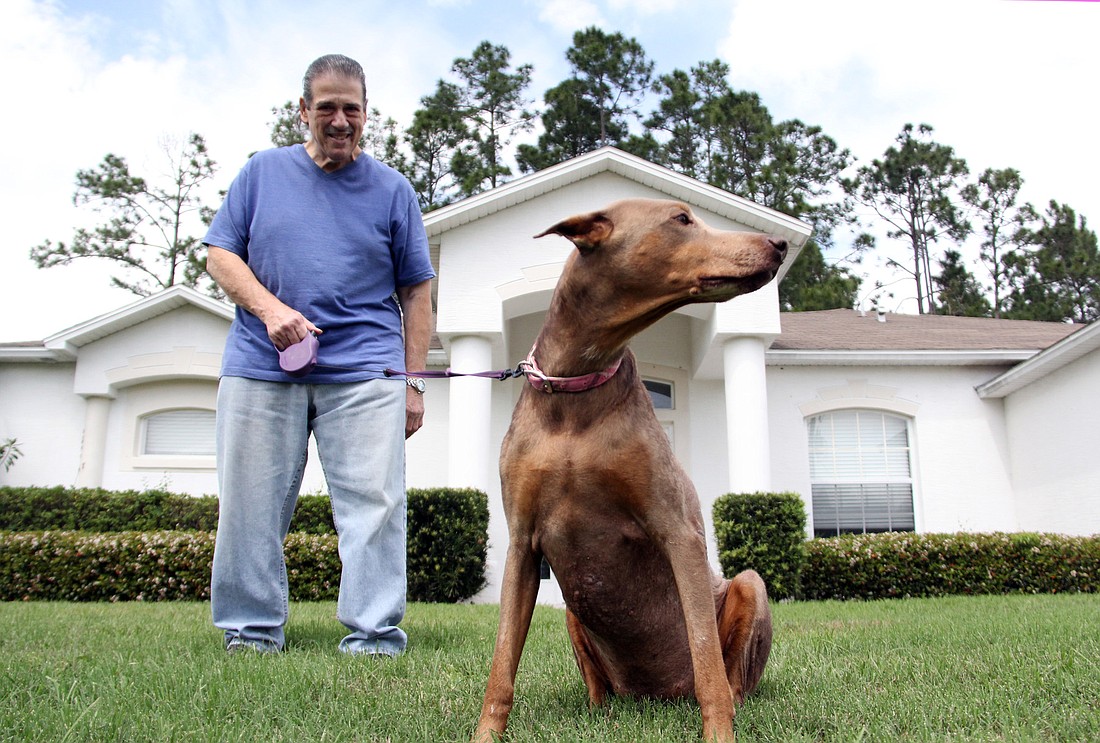 Paul Crown adopted his new Doberman, Sugar, through the Pets for Patriots program at the Flagler Humane Society.