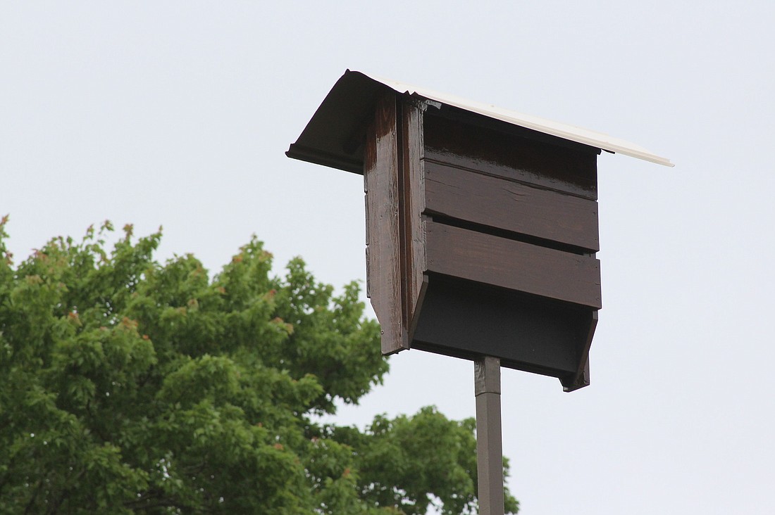 The new house hasn't fooled the bats yet: There is no evidence that they have moved in. Price tag: about $1,000.