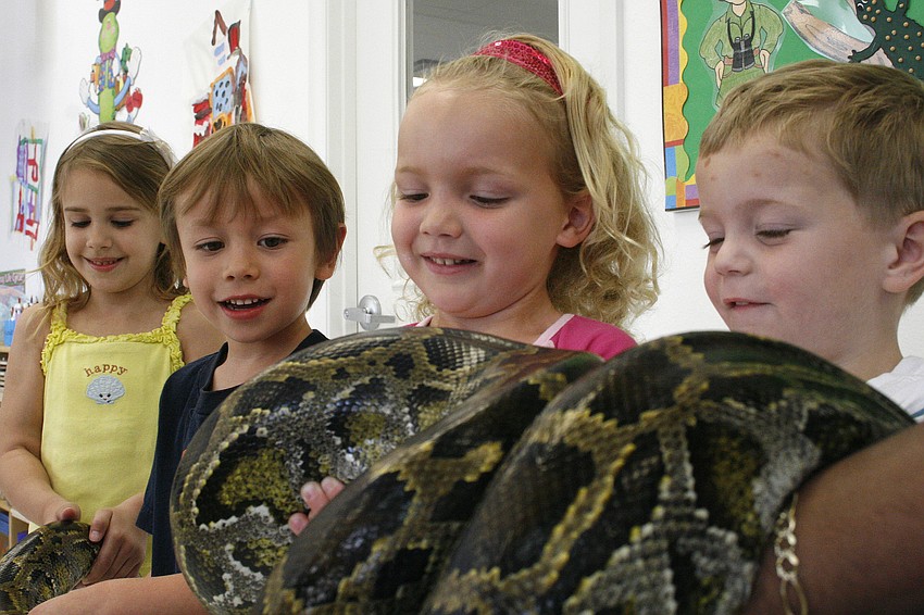 Skyler Cook, Drew Page, Amber Depasquale and Philip Anderson all held the python together.