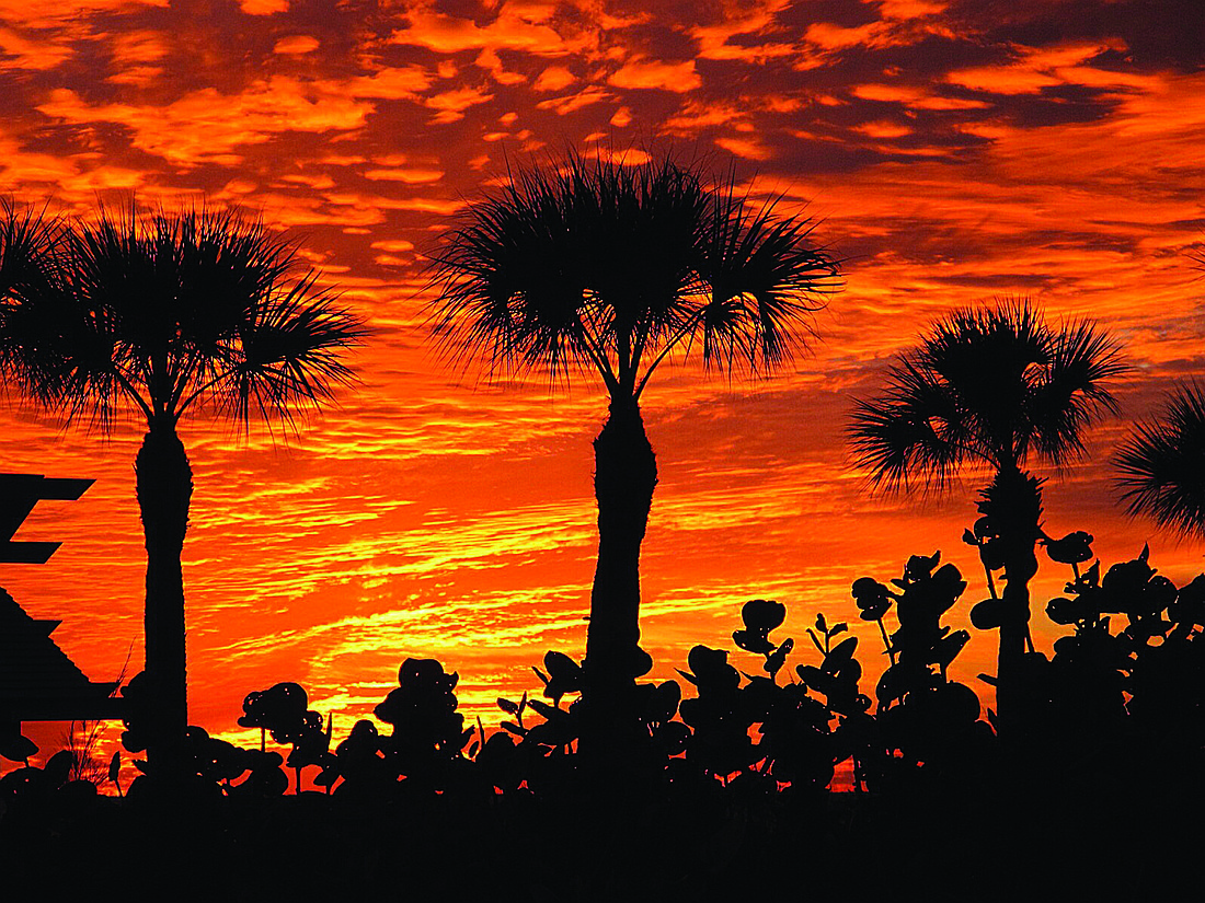 Joseph Levine submitted this sunset photo, taken near Bay Isles Beach Club.