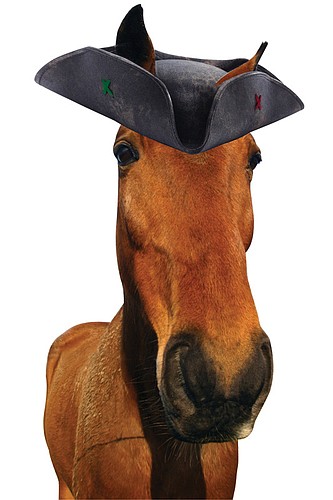 The new mascot for the combined Lakewood Ranch/Braden River team will be a live horse wearing a pirate hat.