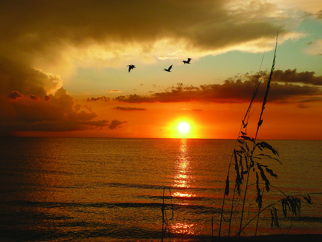 Karmen Scott submitted this sunset photo, taken on Bradenton Beach.