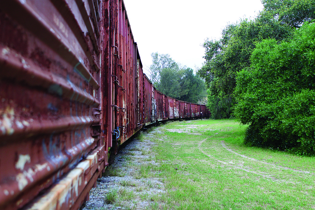 Abandoned boxcars have been left on the railroad track that goes through Shade Avenue.