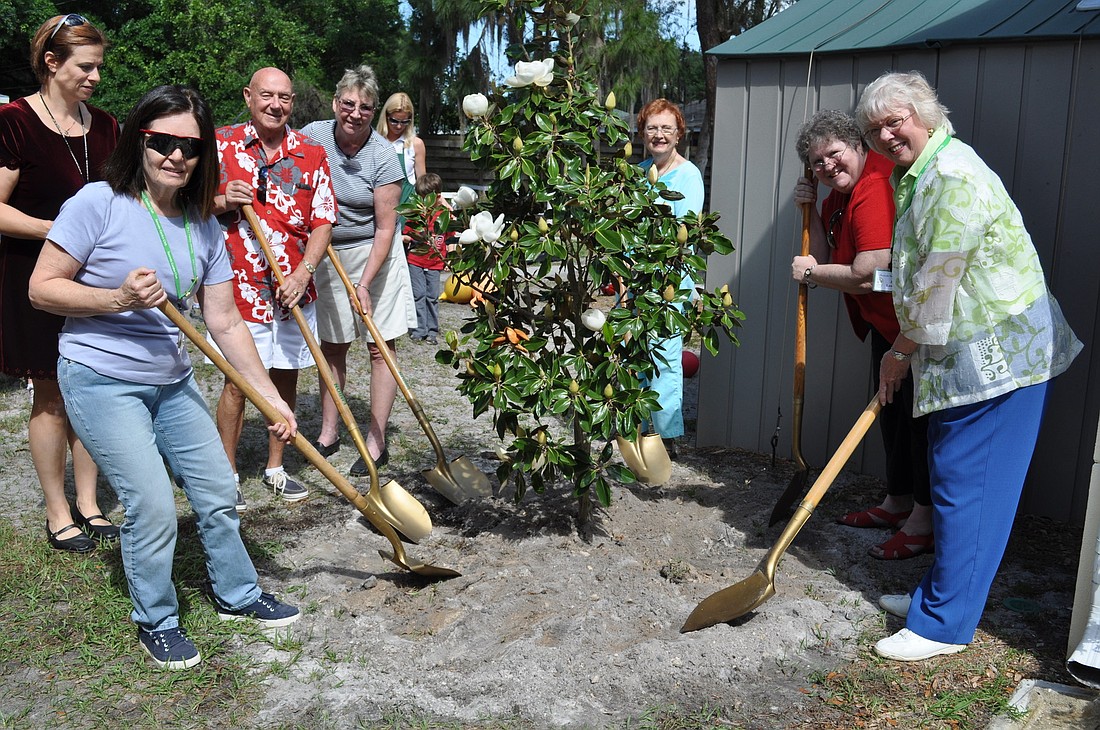 Sarasota Garden Club members Ginger Vance, Bill Dalgarno, Wilda Meier, Shirley Cook, Marvera Murphy and Jane Lawrence today planted a new tree at Forty Carrots.