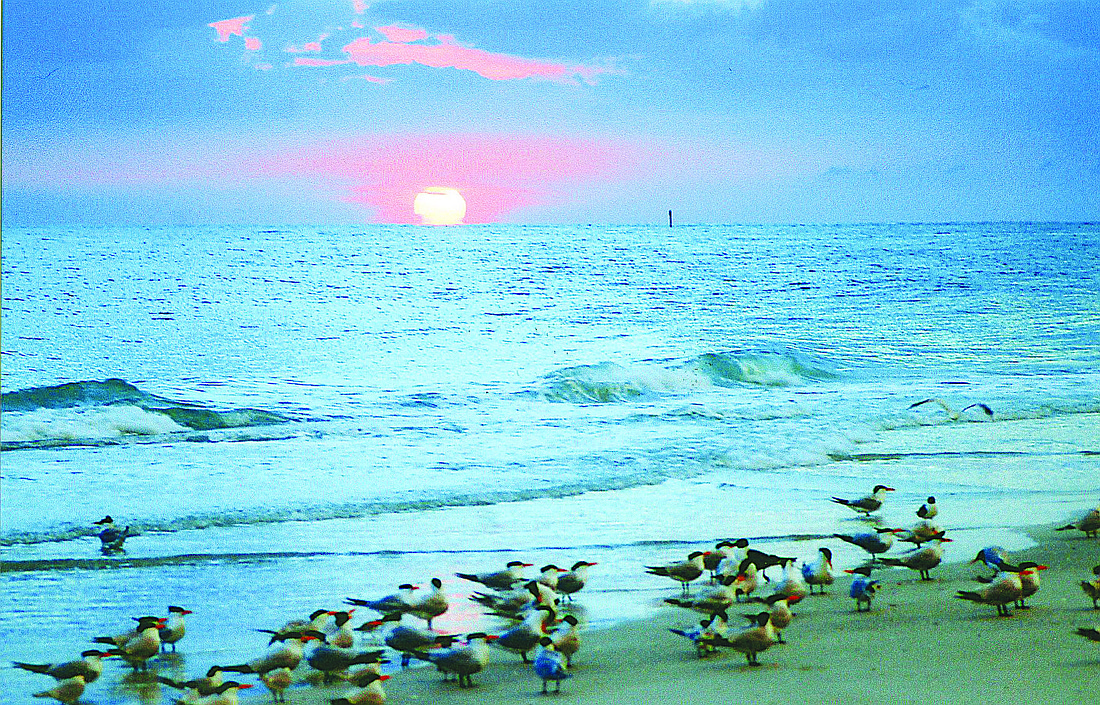 Neil Blume submitted this sunset photo, taken at Whitney Beach.