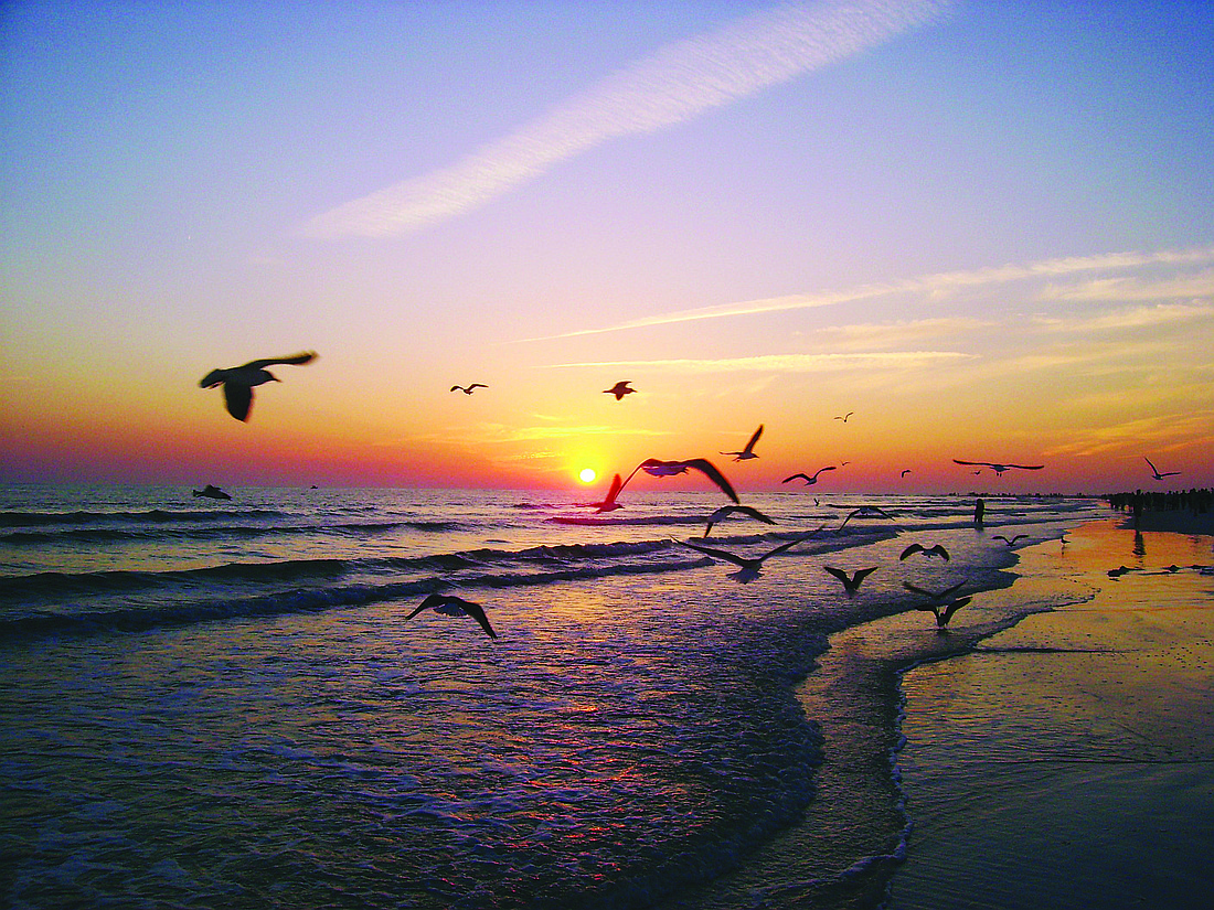 Malcolm Arrick submitted this sunset photo, taken on Siesta Key.