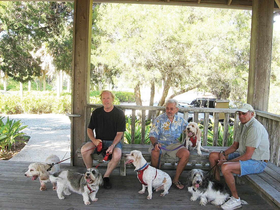 From left: Jerry Brabant, with Mulligan and Flora, of Dayton, Ohio; Tom Cetwinski, with Matisse and Vive la Femme, of Longboat Key; and Chuck Birenbaum, with Razor, from Connecticut.