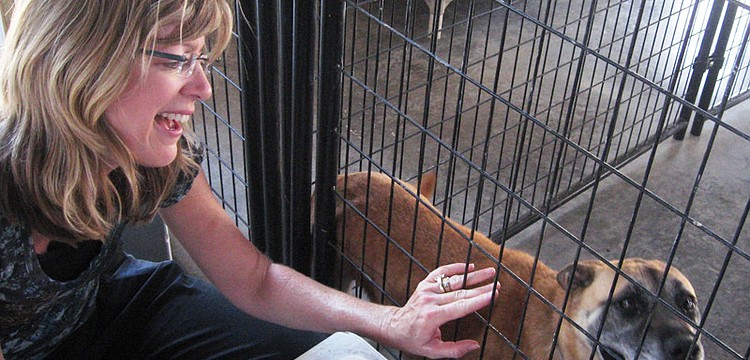 Volunteer Annette Fuchs meets Victor. Her family returned to Honor Animal Sanctuary later that day to adopt him. Submitted by Elaine Glickman.