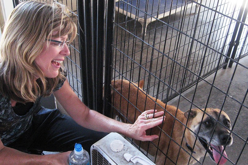 Volunteer Annette Fuchs meets Victor. Her family returned to Honor Animal Sanctuary later that day to adopt him. Submitted by Elaine Glickman.