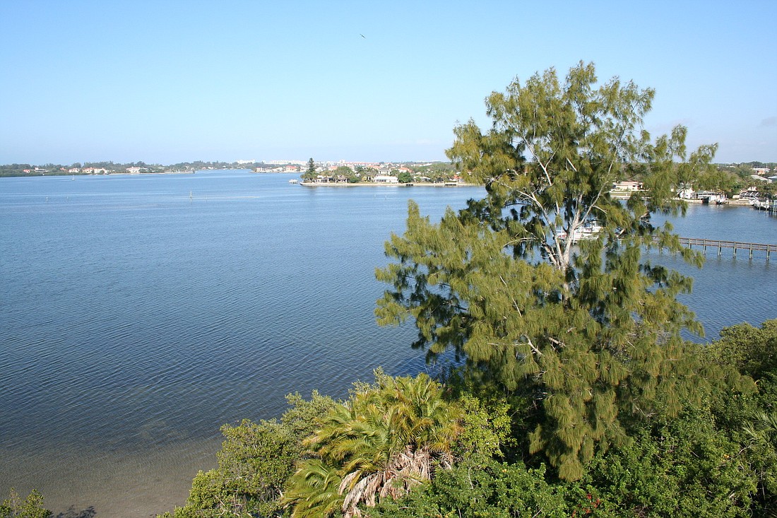 The Citizens Advisory Committee helps develop programs to restore and protect Sarasota Bay.