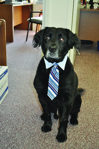 Although Cash wore a tie for his interview with the Longboat Observer, he usually keeps his attire casual with a simple collar.