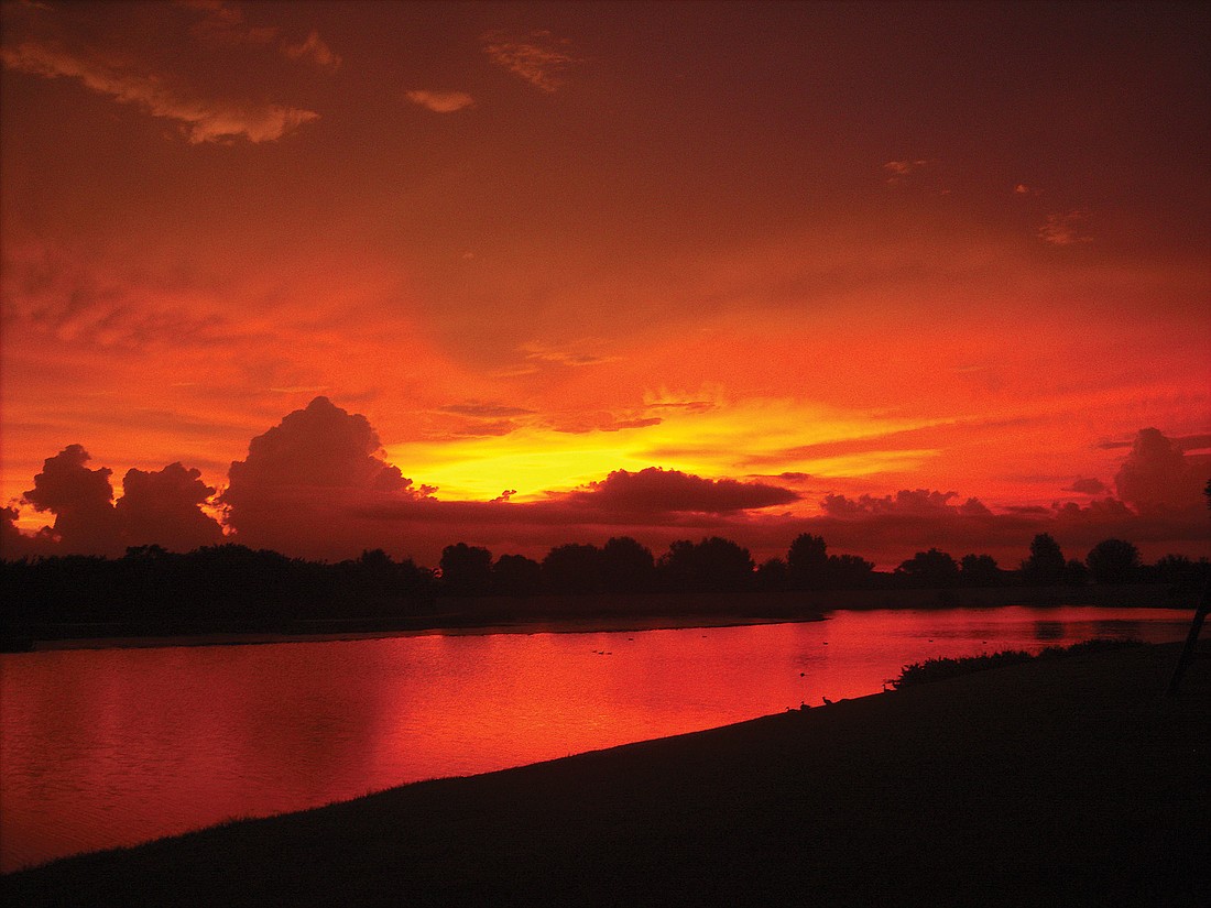 Curt Vellenga took this photo last March from his backyard in the Lexington subdivision in Parrish.