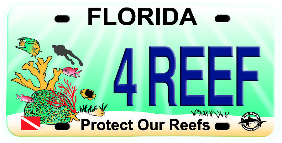 The Florida Protect Our Reefs license plates has raised more than $2.3 million for research, conservation and education.