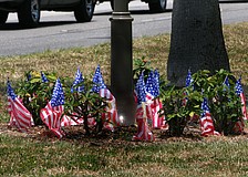 A dozen or so American flags set up around the base of the sign denoting the Blue Star Memorial Highway flap in the breeze on Flag Day, Tuesday, June 14.