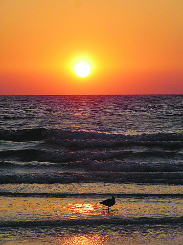 Rita Mangione submitted this sunset photo, taken on Anna Maria Island.