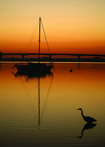 Charles Neubauer submitted this sunrise photo, taken at City Island, in downtown Sarasota.