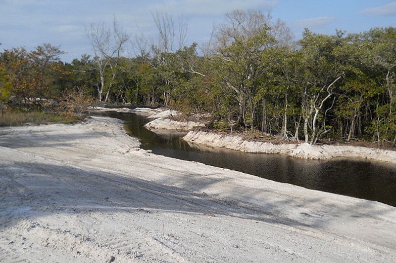 The new tidal tributary was created in March. Photo courtesy of Bob Thill.