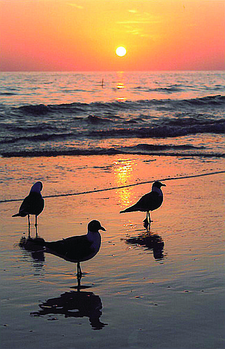 Debbie Snow submitted this sunset photo, taken on Anna Maria Island.