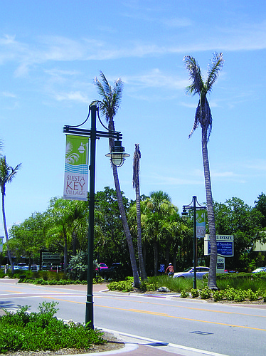 Siesta Village property owners have been waiting for months on county maintenance staff to address problems, including the removal of dead palm trees in front of the Michael Saunders office on Ocean Boulevard.