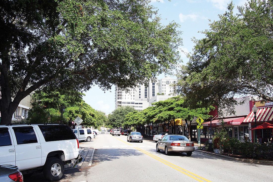 Visitors and residents enjoy the shade and ambience of the tree-lined section of Main Street. Many county commercial development sites, however, have failed to enable trees to flourish.