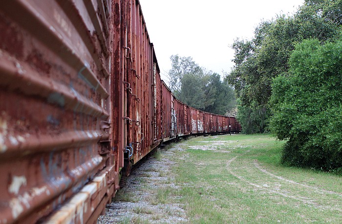 A line of boxcars stretches from Shade Avenue to the Publix supermarket at Ringling Boulevard and Lime Avenue. File photo.