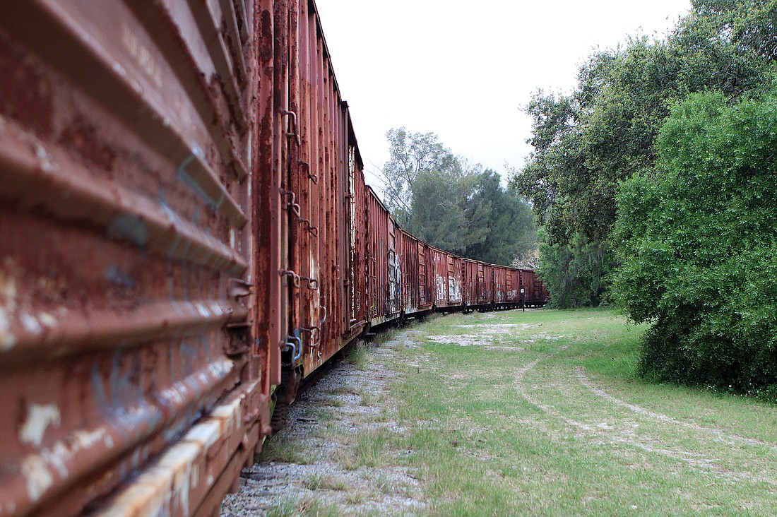A line of boxcars stretches from Shade Avenue to the Publix supermarket at Ringling Boulevard and Lime Avenue. File photo.