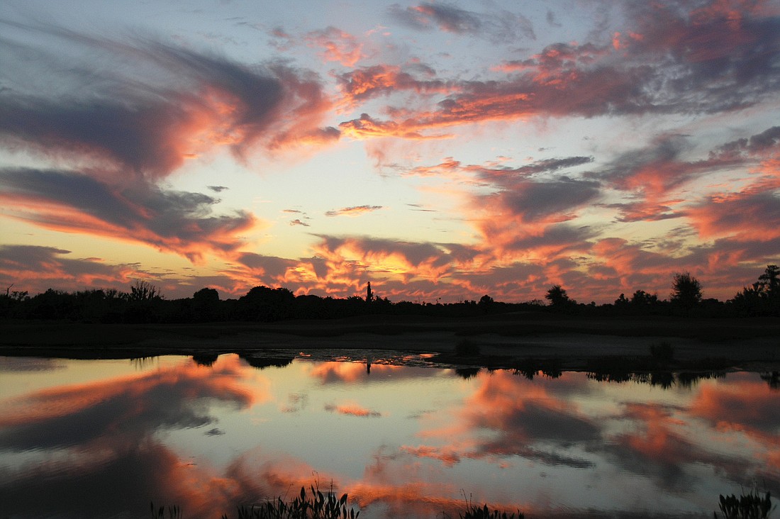 Karol Borkowski took this sunset photo from her backyard in the Country Club of Lakewood Ranch.