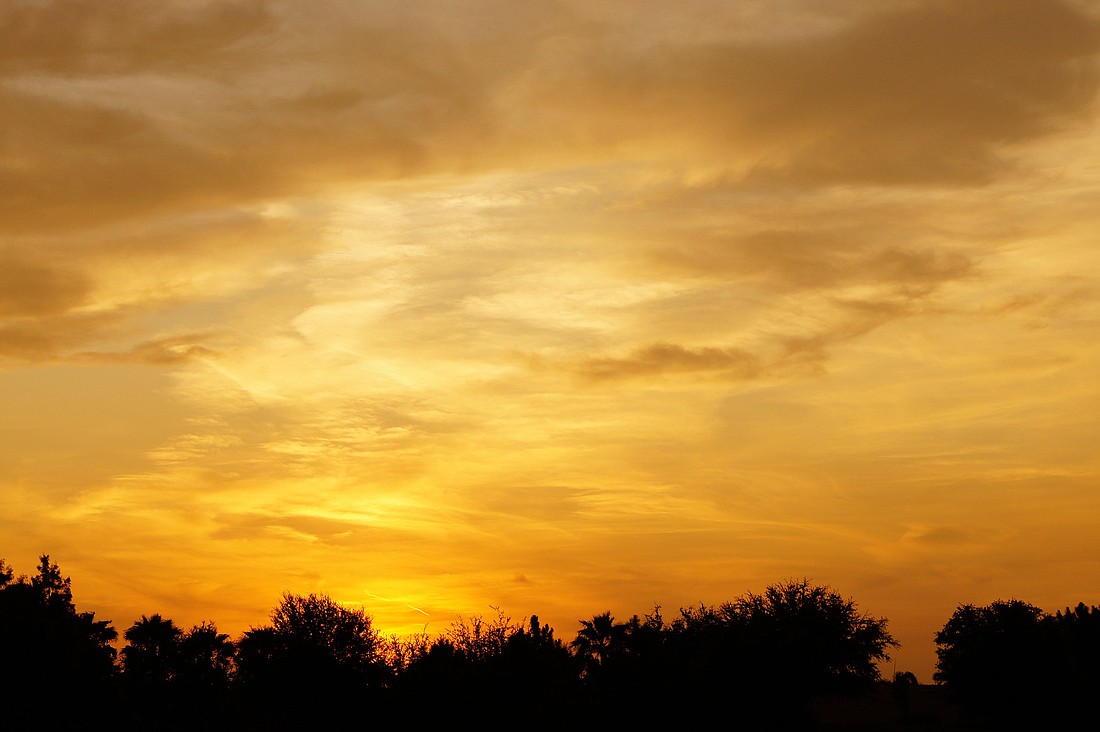 Kellie Holohan, 14, took this sunset photo from her backyard in Lakewood Ranch.