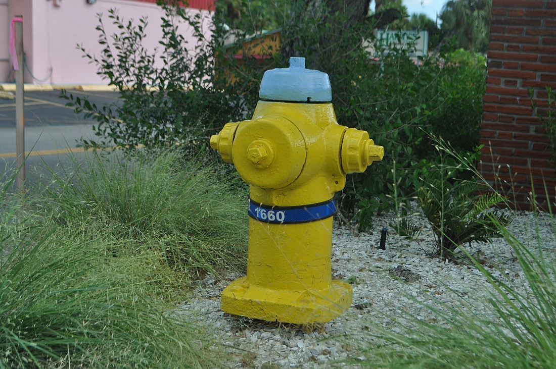 The Public Works department is testing both public and privately owned fire hydrants.