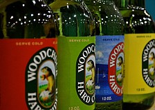 The festival offered unlimited samples of more than 100 beers.