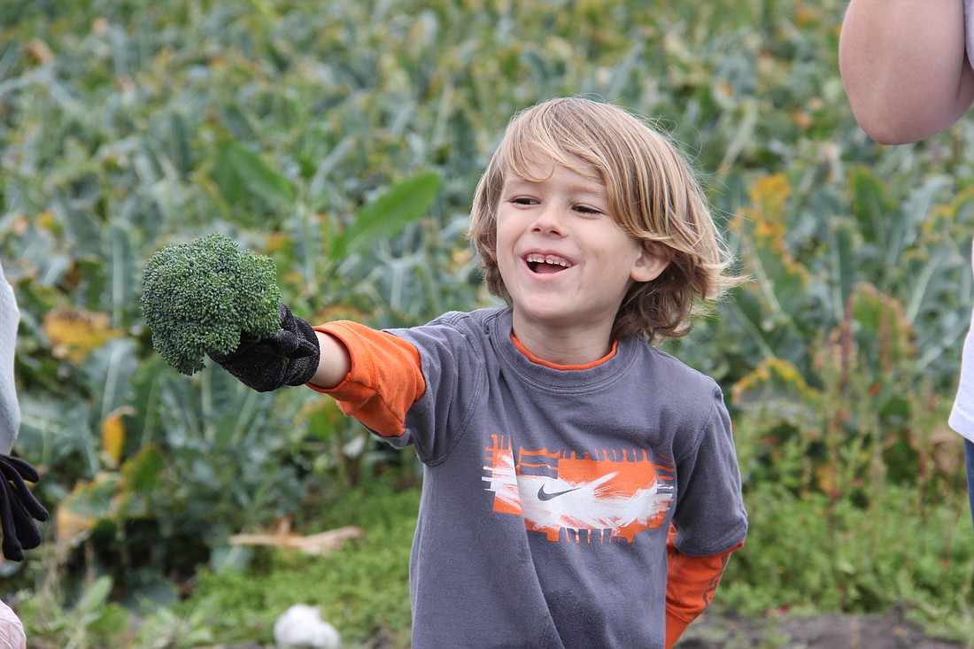 Case Britton shows off a bunch of broccoli he picked from a field while gleaning with Epic Church. PHOTOS BY SHANNA FORTIER