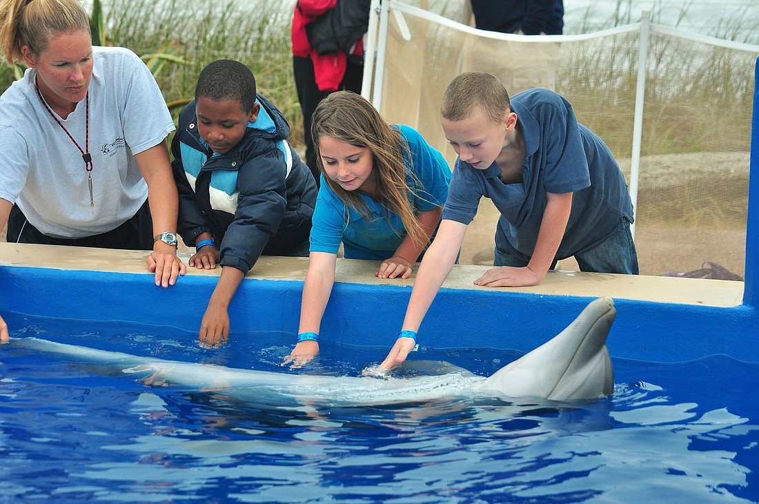 Students in Danija GrovesÃ¢â‚¬â„¢ class visited Marineland to learn about the lifecycle of dolphins. COURTESY PHOTOS