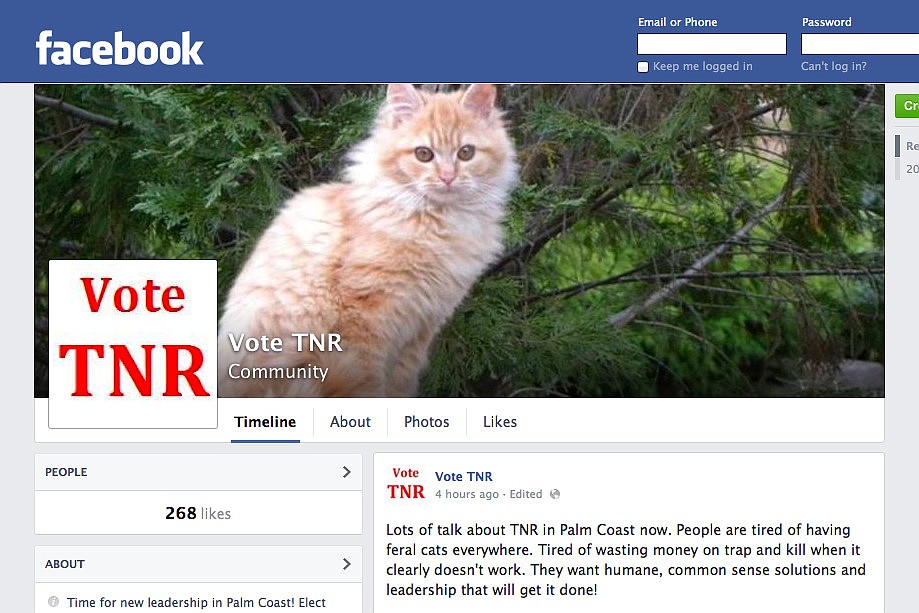 The Vote TNR Facebook page at facebook.com/Vote TNR contains information about local candidatesÃ¢â‚¬â„¢ views on trap-neuter-return programs. Courtesy photo.