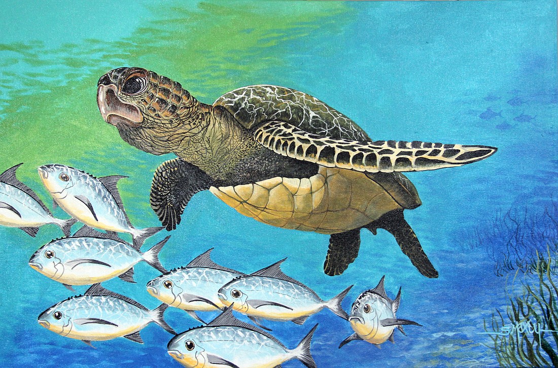Stewart MaxcyÃ¢â‚¬â„¢s turtle paintings are on display at Ocean Books & Art.